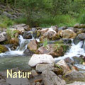 Natur-Bilder
